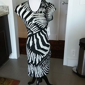 Roberto Cavalli Dress